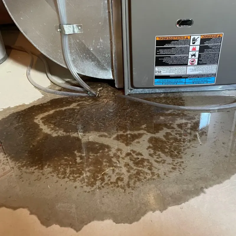 Pipe Burst and Leak Restoration in Lincoln, PA