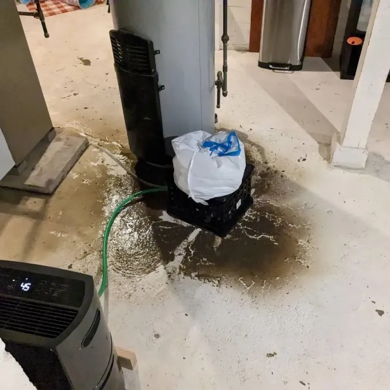 Sewage Backup Cleanup Service in Lincoln, PA